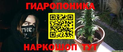 a pvp Бердск