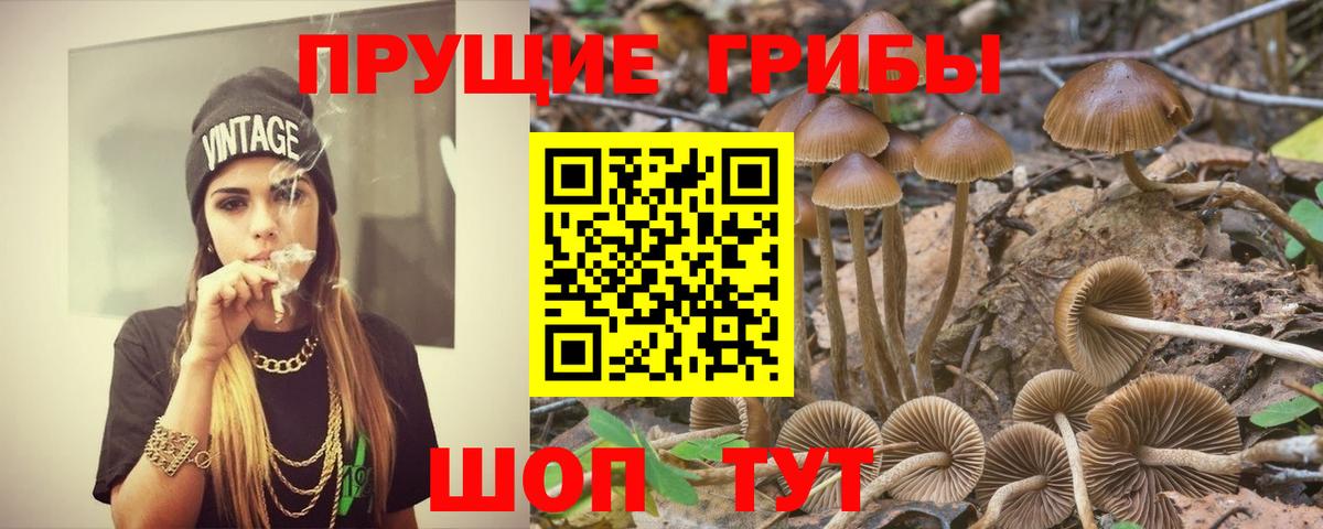 Псилоцибиновые грибы прущие грибы Крымск